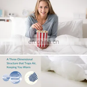 Sale King Queen Bedding Hypoallergenic Down Alternative Comforter For Winter thumbnail-5