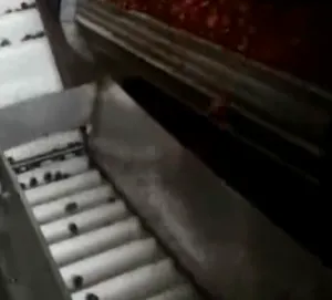 Dehydrated Fruit Vegetable Dried Strawberry Processing Line thumbnail-2