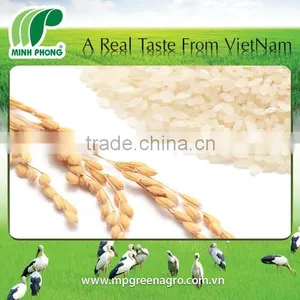Sushi Rice thumbnail-2