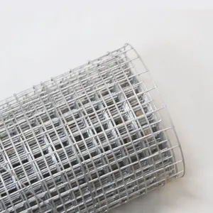 Wholesale Welded Wire Mesh Roll Galvanized Wire Netting for Chicken Cage Rabbit Cage and Farm Fence thumbnail-1