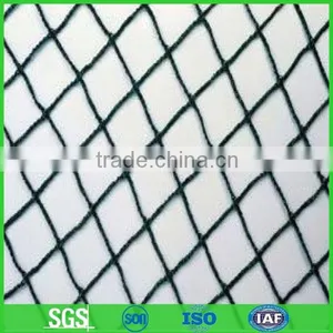 Largest Manufacturer of Plastic Bird Net thumbnail-1