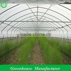 Tunnel Greenhouse for Agriculture thumbnail-1