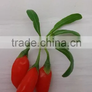 Dried Goji Berries Size 280, Goji Manufacture, Goji Wholeseller thumbnail-2