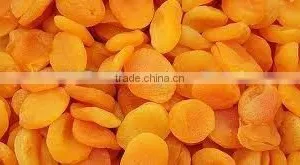 Compote Apricots in Syrup A10 Tin (3100 Mll x 06 Tins) thumbnail-2