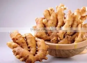 New Crop Specification Dry Ginger With High Quality thumbnail-1