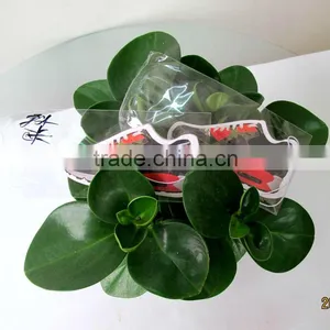 Hot Selling Shoes Shaped Perfumed Toilet Air Freshener Can be Customized thumbnail-4