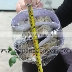 China Hot Sale Rose Cut Vendela Fresh Roses Cut Flowers From China thumbnail-5