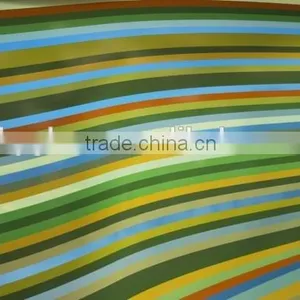 Colored Printed Glass Decorative Exterior Glass Wall Panels thumbnail-6