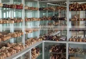 Qinhuangdao Fortune International Trade Co., Ltd. company overview - view 1 thumbnail