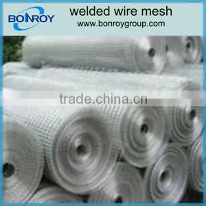 Hot Dipped Galvanized Welded Wire Mesh thumbnail-1