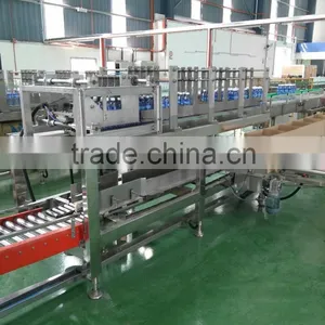 Carton Packing Machine thumbnail-1