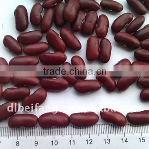 Organic Red Kidney Bean( British Type, Heilongjiang Origin.hps) thumbnail-1