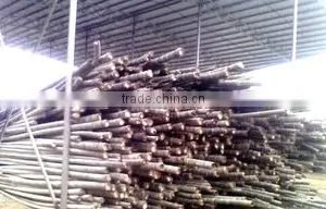 Guangzhou Di Xiang Trading Co., Ltd. company overview - view 2 thumbnail