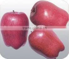 Chinese Red Apple For 2011 New Crop thumbnail-1
