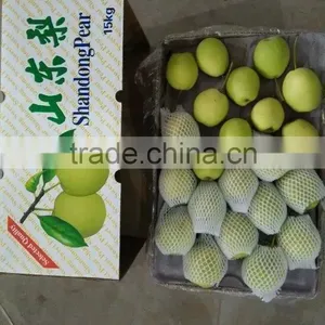 Shandong Pear thumbnail-2