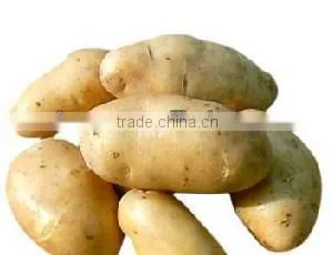 Potato thumbnail-1