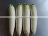 Fresh Chinese White Radish on Sale thumbnail-2