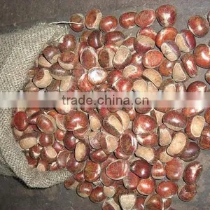 Delicious Chinese Chestnut thumbnail-1