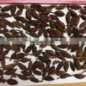Black Cardamom thumbnail-5