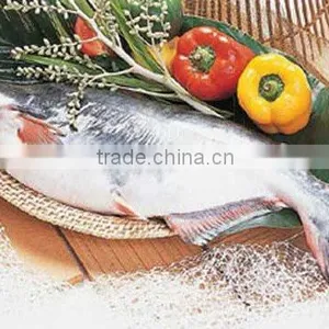 Vietnam Catfish Vietnam Basa, Pacific Dorey, River Cobbler, Pangasius thumbnail-1