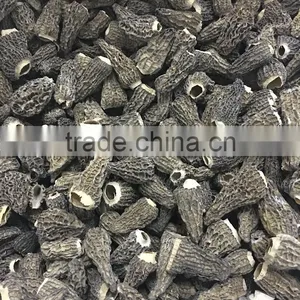 Dried Morels Morechella Conica Mushroom thumbnail-1