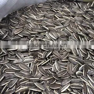Inner Mongolia Sunflower Seeds 5009 thumbnail-1