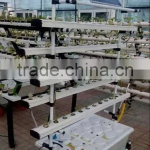 Hydroponic Vertical (perpendicular)system thumbnail-2