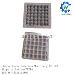 Apple Fruit Egg Tray Molds thumbnail-3