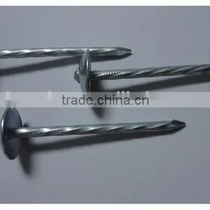 1"*11G Galvanized Umbrella Head Plain and Ring Shank Roofing Nail (factory) thumbnail-3