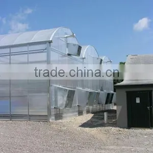 Commercial Greenhouse for Sale thumbnail-1