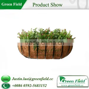 Window Box thumbnail-5