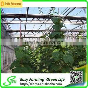 Polycarnonate Sheeting Greenhouse for Sale thumbnail-4