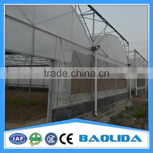 4mm Polycarbonater Greenhouse thumbnail-2