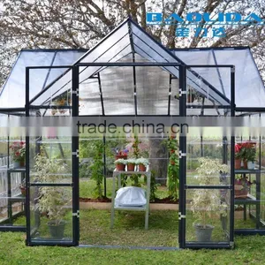 Chengdu BaoLiDa Low Price Multi-span PC Shed Greenhouse PC Sheet Greenhouse Vegetable Greenhouse thumbnail-3