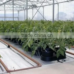 Plant Grow Light, Double Chips Super Bright Full Spectrum Hydroponic Plant Grow Lights for Indoor thumbnail-5