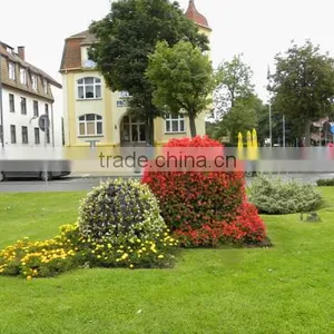 Hot Selling Garden Decorative Ball Planter F-gardening thumbnail-2
