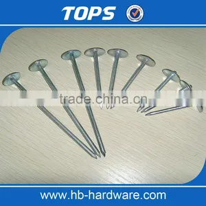 China Umbrella Head Roofing Nails thumbnail-1