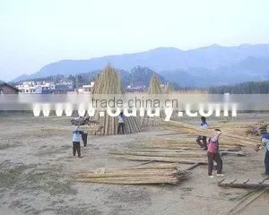 Xiamen Oulay Imp.& Exp. Co., Ltd. company overview - view 1 thumbnail