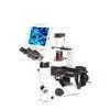 8 Inches TFT Screen Compound Digital LCD Inverted Fluorescence Microscope thumbnail-1