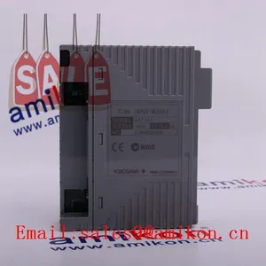 YOKOGAWA AAM50 S1 Modules Input / Output Modules thumbnail-1