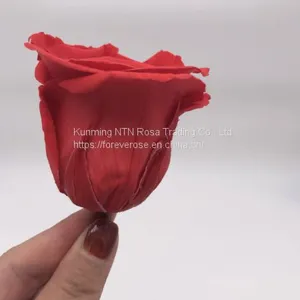 Preserved Flowers Wedding Bridal Bouquets Natural Eternal Roses thumbnail-1