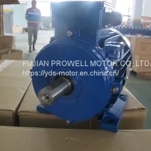 YDS2 Series Standard Efficiency Electric Motor thumbnail-1