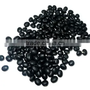 Black Bean With Green Kernel thumbnail-1
