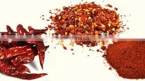 Vietnam High Quality Hot Red Dry Chili Peppers thumbnail-2