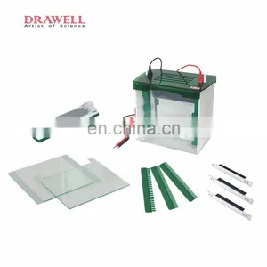 Vertical Mini Protean Gel Electrophoresis Apparatus Cell thumbnail-2