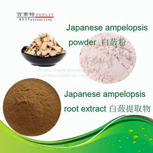 Ampelopsis Japonica (Thunb.) Makino thumbnail-1