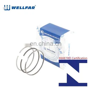 Wellfar French Car 206 Auto Parts 75mm Piston Rings For Peugeot 206 Engine thumbnail-2