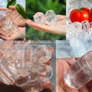 2000kg/24hr Tube Ice Machine thumbnail-5