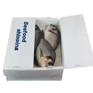 Insulated PP Hollow Sheet Packaging – Durable Solutions for Fresh Seafood thumbnail-2