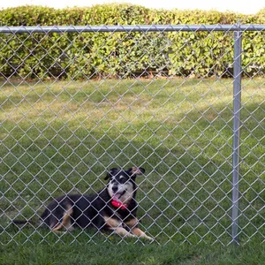 Customized Sustainable Wholesale Powder Sprayed PVC Coated Chain Link Fence Cyclone Wire Mesh Fence for Baseball Fields thumbnail-1
